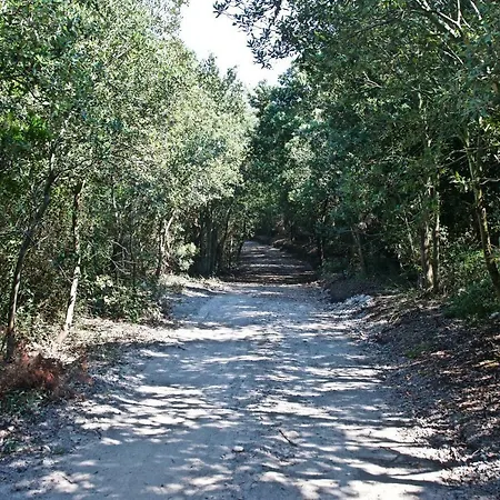 A Lea L'ua