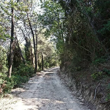 A Lea L'ua Finale Ligure