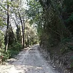 A Lea L'ua Финале Лигуре