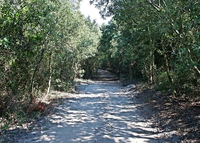 A Lea L'ua