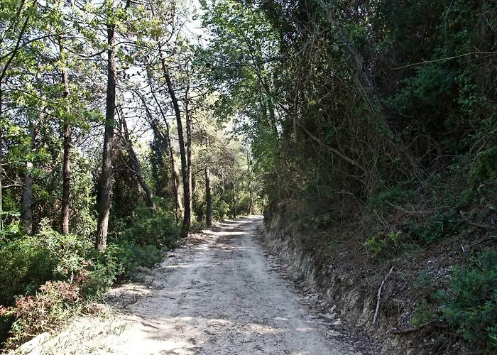 A Lea L'ua Finale Ligure